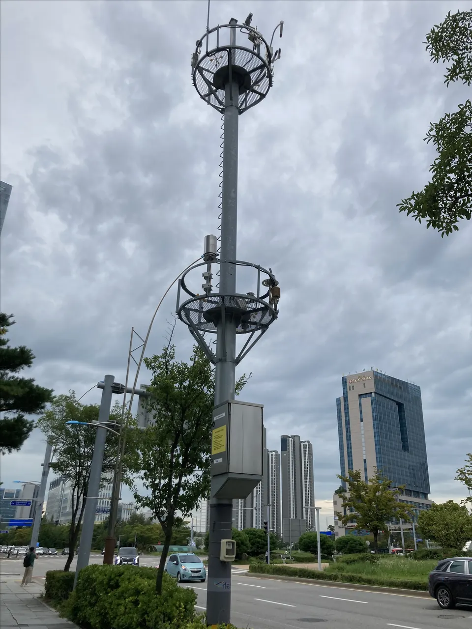 Observation device mounted at the top of a roadside pole